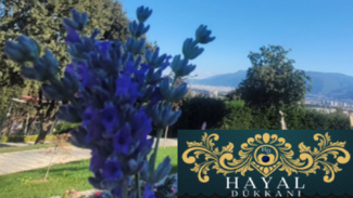 Hayal Dükkanı Hayal Dükkanı